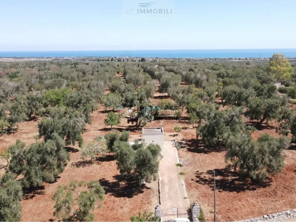 Land in Carovigno, Brindisi - photo 1